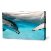Canvas Wall Art Lovely Dolphin Canvas Prints Home Artwork Decoration for Living Room,Bedroom - 12x18 inches