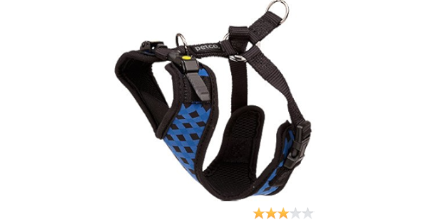 halti harness petco