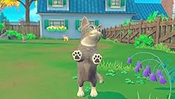 My Universe: Pets Edition