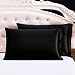 100% Pure Mulberry Silk Pillowcase for Hair and Skin,Both Sides 22 Momme Silk,Both Sides Silk Pillow Case with Hidden Zippe,Hypoallergenic Soft Breathable,1pc