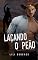 Livro Laçando o Peão: Spin-off de Segredos e Mentiras
