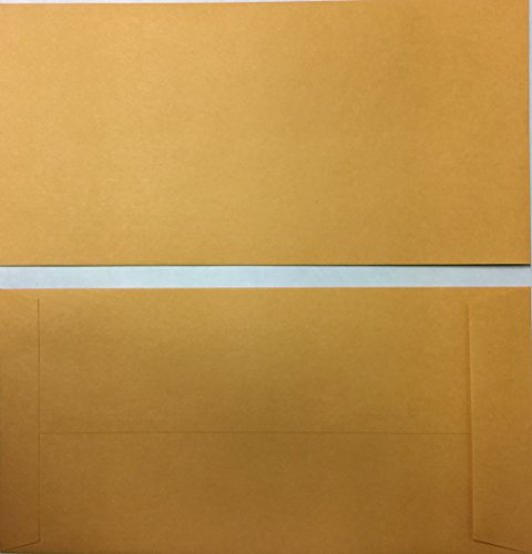 License Plate Envelopes - Moist & Seal Blank, 100 per pack LPEV (P2) - Thumbnail 3