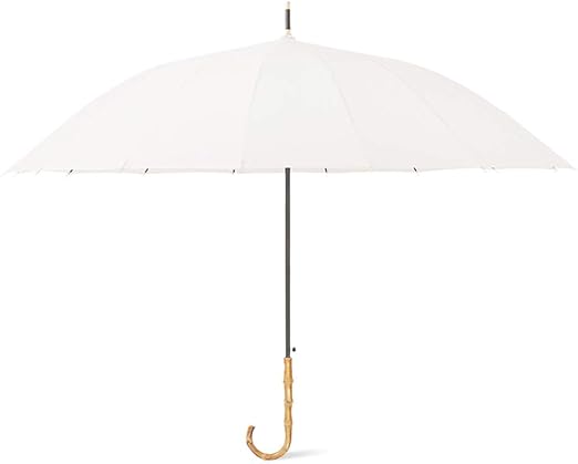 strong umbrella wind resistant amazon