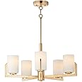 Maxim Dart-Five Light Chandelier-26 Inches Wide by 13.5 inches high-Satin Brass Finish -Traditional Installation
