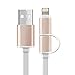 KWE 2 Port 2.1A Dual USB Car Charger and CE Certified 2in1 3ft Apple iphone Lightning to USB Cable & Micro USB to USB Cable for Smart Cell Phones(Gold)