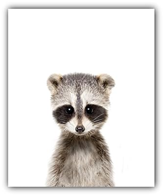 Woodland Nursery Wall Decor | Baby Room Decor Animal Nursery Pictures 8x10 | Baby Nursery Decor Cute Animal Photography Wall Prints| Set of 6 Unframed Prints for Baby Boys & Girls