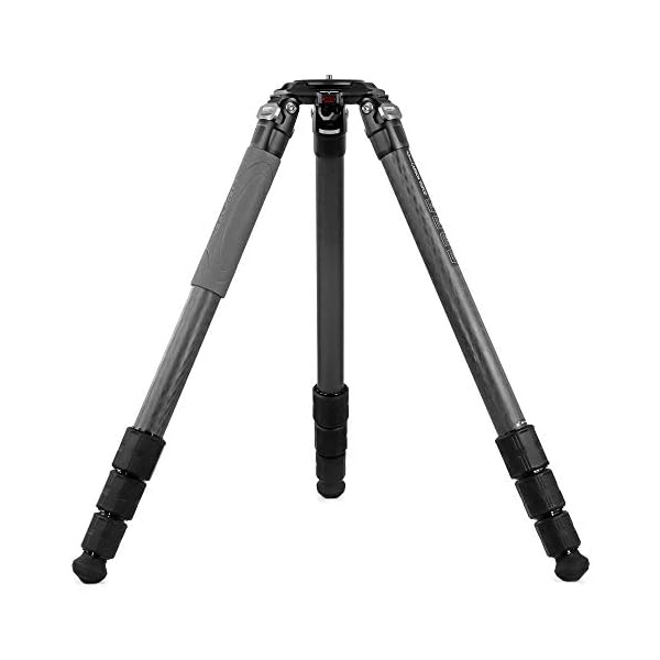 Omegon Pro Neptune Gabelmontierung mit Mittelsäule und Stativ – Bild 4