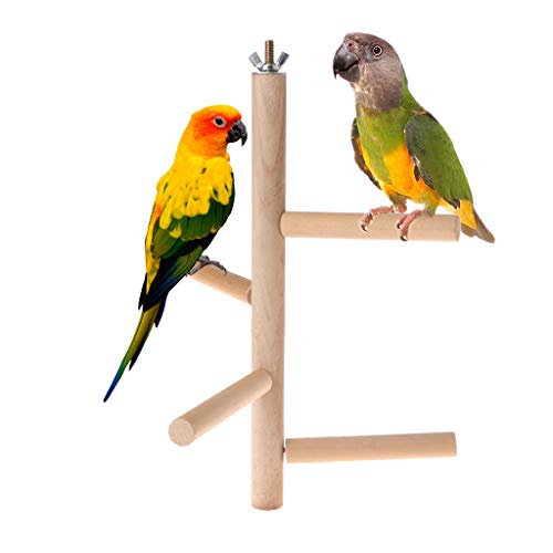 GMSP Parrot Perch 4 Layer Stages Toys Natural Wood Rotating Ladder Bird Parakeet Cage. - Thumbnail 6