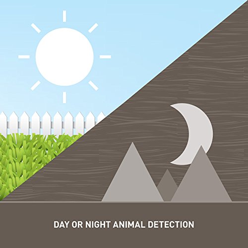 Orbit 62100 Yard Enforcer MotionActivated Sprinkler with Day & Night