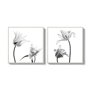 2 Piece Framed Canvas Wall Art for Living Room, Bedroom Transparent Flower Canvas Prints for Home Decoration Ready to Hang - 16"x16"x2 Panels