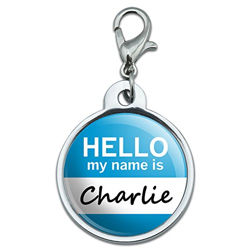 Chrome Plated Metal Small Pet ID Dog Cat Tag Hello My Name Is CA-CY - Charlie