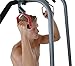 Stamina Rotating Pull Up Handles