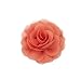 HBEDU Dog Collar Flowers Charms Accessories for Cat Puppy Pet Collars Rose Flower Grooming Decoration Pack of 8