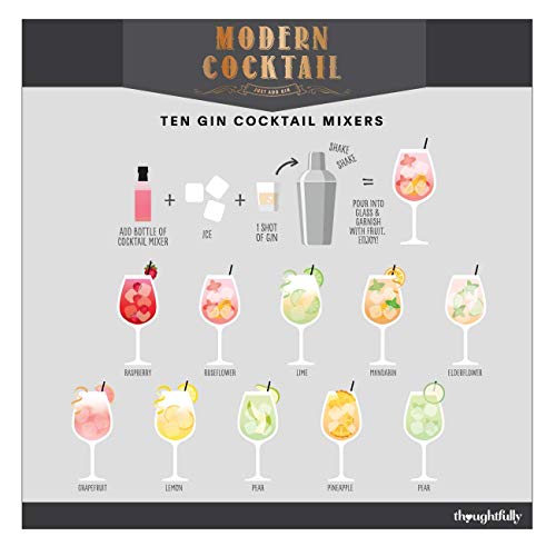 Modern Gourmet Foods, Premium Gin Cocktail Mixers Gift Set, 70 mL