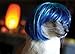 Glamourpuss: The Enchanting World of Kitty Wigs