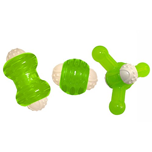 Hyper Pet Squawker Jack Dog Toy, Medium, Green/White