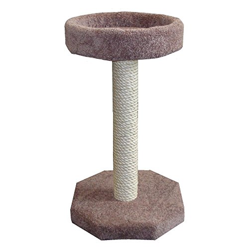 scratching post with bed on top