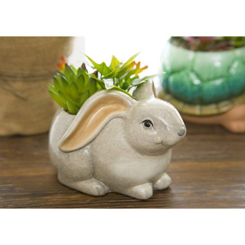 Cypress-Home-Ceramic-Rabbit-Planter-with-Succulent-6-x-5-x-4-Inches