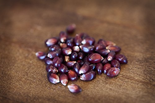 image for Amish Country Popcorn - Red Popcorn 1 Pound Bag - with Recipe Guide - 