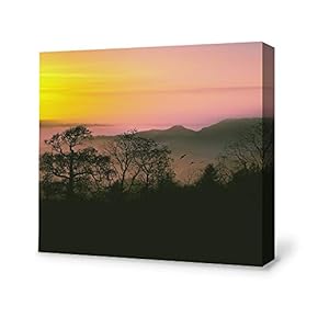 Canvas Wall Art for Living Room,Bedroom Home Artwork Paintings Secret Paradise Under The Moonlight Ready to Hang - 12x12 inches