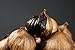 Jayone 250g (8.8 Oz) Organic Grown Black Garlic Pearl Garlic, Made of 100% Fermented Single Clove Garlic