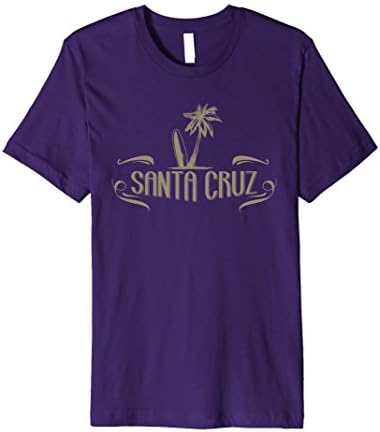 Mens Santa Cruz City Beach T-Shirt XL Purple