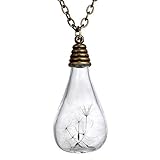 FM42 Dried Dandelion Seed Glass Locket Pendant Necklace with 26