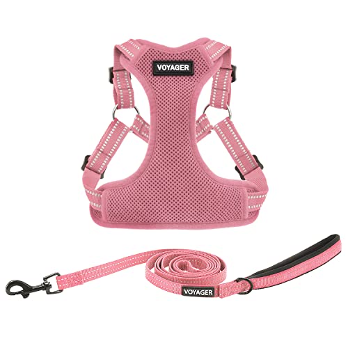 Best Pet Supplies Voyager Adjustable Dog Harness Leash Set with Reflective Stripes for Walking Heavy-Duty Full Body No Pull Vest with Leash D-Ring, Breathable All-Weather Wear - Pink, XS