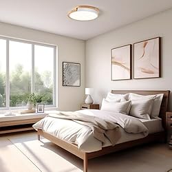 Peblto Modern LED Ceiling Light, Round Shape Flush