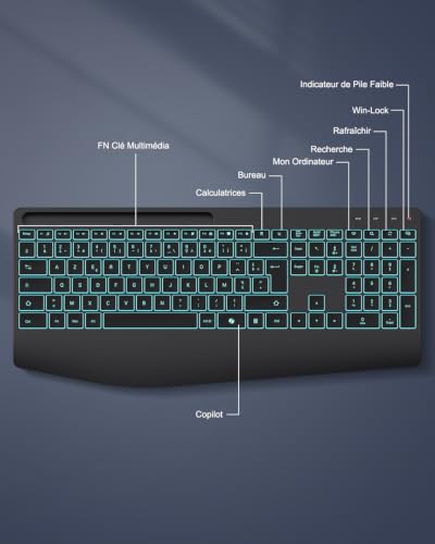 TECURS Clavier sans Fil 2,4 GHz AZERTY Français avec Repose-Poignet, Noir | Rétroéclairage 7 Couleurs, Rechargeable, Ergonomique, Récepteur 2-en-1 USB-A et Type-C, Silencieux, pour Windows PC, Bureau