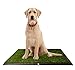 Puppy Potty Grass Toilet Trainer Tray for Dogs and Puppies Large 20 x 25 Inch. Training Grass Pee Pad For Indoor, Outdoor Use, Porches, Apartments and Houses Grass Turf Mat
