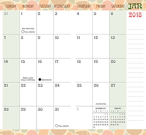 Pattern 2018 Checkbook/2 Year Pocket Planner Calendar (CC0286)