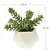 Small Faux Sedum Succulent in White Geometric Ceramic Vase - 4.5 x 4.5 x 5.5 Inches - Marmeda Artificial Stonecrop Potted Plant in Midcentry Glossy Pot for Home, Office, and Event Decor