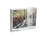 1000 Piece Puzzles Europe - PuzzleOnly - Random Cut