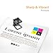 E-Z Ink (TM) Remanufactured Ink Cartridge Replacement for Epson 212 XL 212XL T212XL T212 to use with WF-2830 WF-2850 XP-4100 XP-4105 Printer (1 Black, 1 Cyan, 1 Magenta, 1 Yellow, 4 Pack)