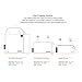 Urban Infant Toddler Backpack – Ideal for Preschool and Daycare – Boys and Girls – Bunnies