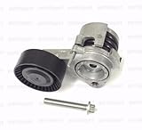 BMW Drive Belt Tensioner with Pulley + Bolt