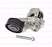 BMW Drive Belt Tensioner with Pulley + Bolt