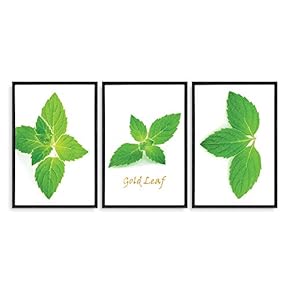 3 Piece Framed Canvas Wall Art for Living Room, Bedroom Green Plants Theme Canvas Prints for Home Decoration Ready to Hang - 16"x24"x3 Panels