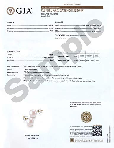 8mm Pearl Earrings 14K Gold White Freshwater Cultured Pearl Stud Earrings for Women - AAAA Quality (yellow-gold, 8.0mm)