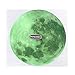 WINOMO Full Moon Wall Stickers Glow in The Dark Light Luminous Wall Art Decals for Home Room Decor(Grey)