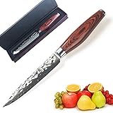Upgrade Damascus Utility Knife 5 Inch, Razor-Sharp Superb Edge Retention, 67-Layer High Carbon Stainless Steel, Comfortable Pakkawood Handle Paring Knives by Xing Yi
