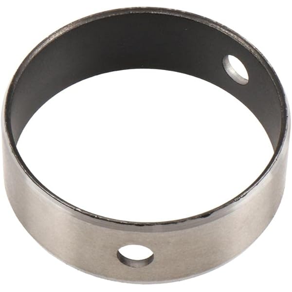 Amazon.com: GM 19260874 Engine Camshaft Bearing : Automotive 