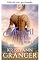 Livro Abigail encontra a paz (As noivas Maxwell Livro 3)