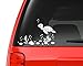 Sea Turtle And Shells Decal Sticker - White 5