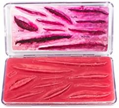 Titanic FX - Brian Kinney's Cut Up Hurt Box - Prosthetic Mold Kit - For Pros-Aide, Silicone, Gelatin Appliances