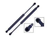 2 Pieces (SET) Tuff Support Trunk Lid Lift Supports 2000 To 2005 Ford Focus (4 Door Sedan Only)