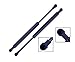 2 Pieces (SET) Tuff Support Trunk Lid Lift Supports 2000 To 2005 Ford Focus (4 Door Sedan Only)
