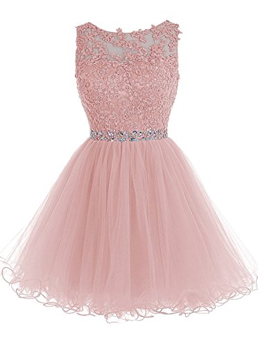 Women's Short Tulle Prom Dresses Lace Keyhole Back Cocktail Party Dresses Blush,US4