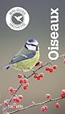 Image de oiseaux xxxx